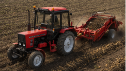 belarus-821-red-potato-harvest